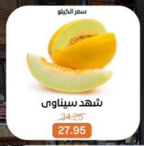 available at بيت الجملة in Egypt - القاهرة