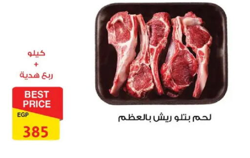 available at فتح الله in Egypt - القاهرة