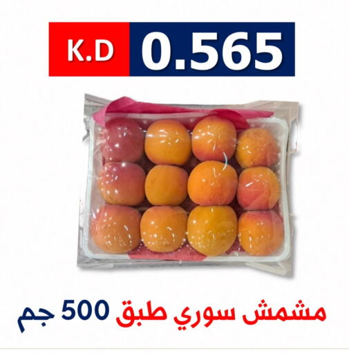 available at جمعية ضاحية صباح الناصر التعاونية in الكويت - مدينة الكويت