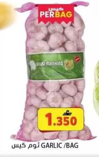 Garlic available at Grand Hyper Market  in Oman - Muscat