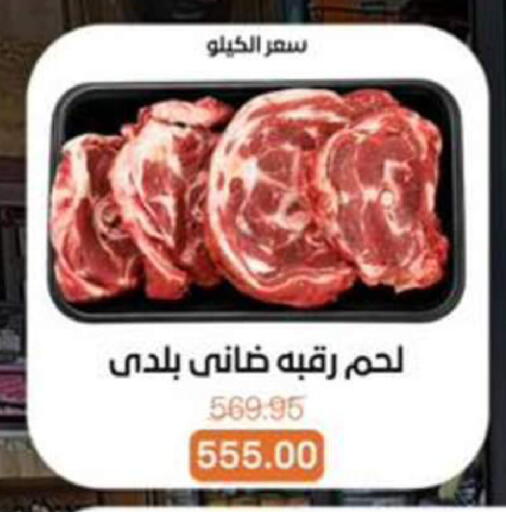 available at بيت الجملة in Egypt - القاهرة