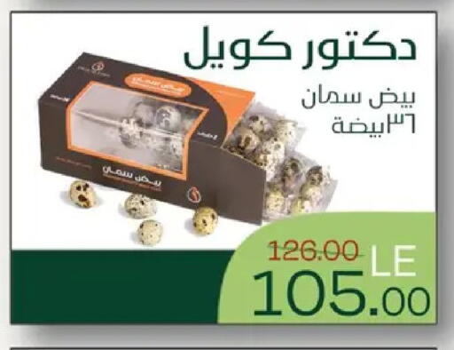 available at رويال هاوس in Egypt - القاهرة