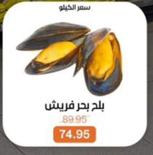 available at بيت الجملة in Egypt - القاهرة