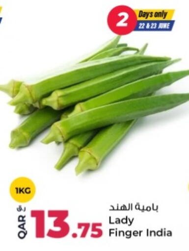 from India available at روابي هايبرماركت in قطر - الشمال