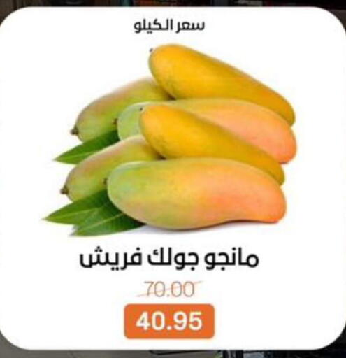 available at بيت الجملة in Egypt - القاهرة