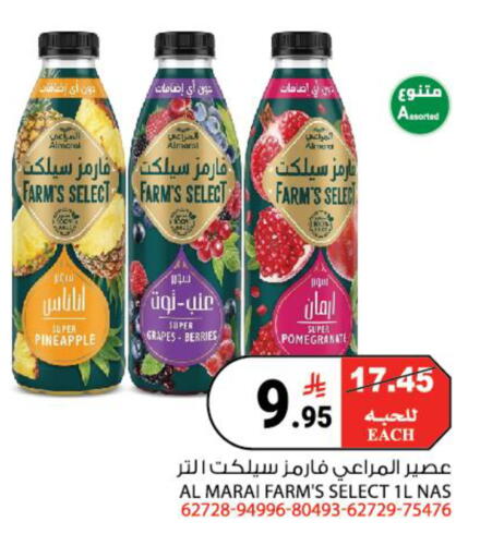 Pineapple Grapes Pomegranate available at هاوس كير in مملكة العربية السعودية, السعودية, سعودية - مكة المكرمة