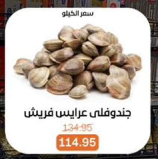 available at بيت الجملة in Egypt - القاهرة
