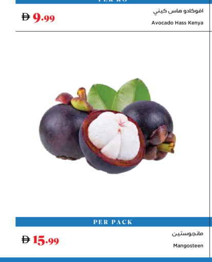 Avocado Mangosteen from Kenya available at تروليز سوبرماركت in الإمارات العربية المتحدة , الامارات - دبي