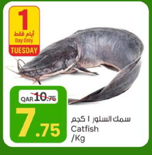 available at باريس هايبرماركت in قطر - الريان