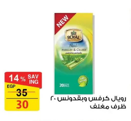 Parsley Celery available at فتح الله in Egypt - القاهرة