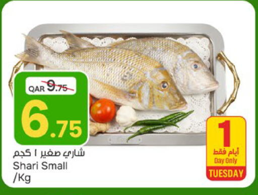 available at باريس هايبرماركت in قطر - الريان