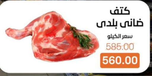 available at بيت الجملة in Egypt - القاهرة