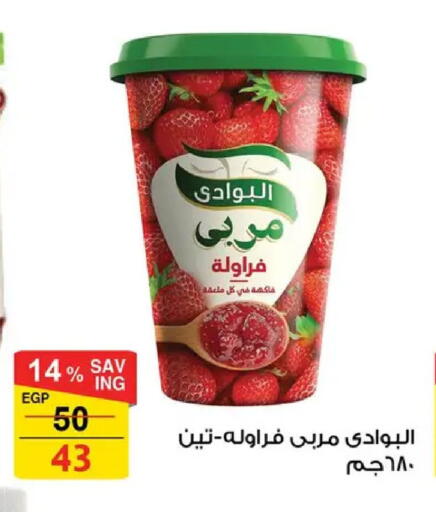 available at فتح الله in Egypt - القاهرة