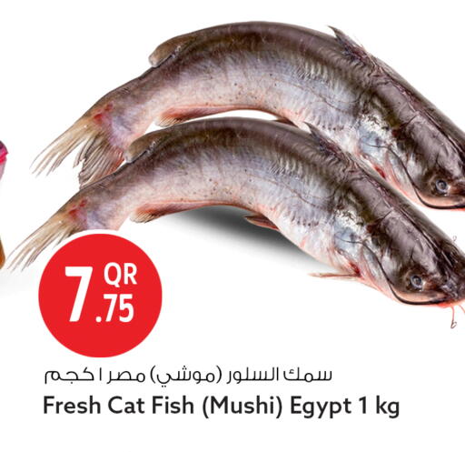available at Safari Hypermarket in Qatar - Al-Shahaniya