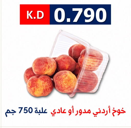 available at جمعية ضاحية صباح الناصر التعاونية in الكويت - مدينة الكويت