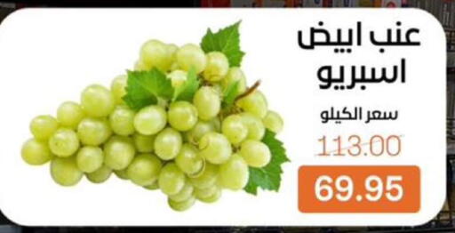 available at بيت الجملة in Egypt - القاهرة