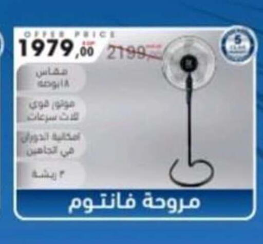 available at El mhallawy Sons in Egypt - Cairo