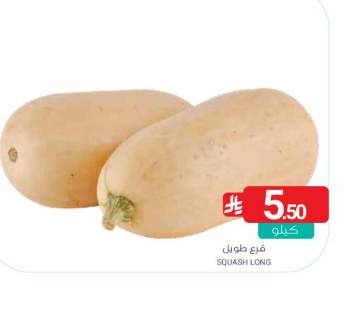 Squash available at اسواق المنتزه in مملكة العربية السعودية, السعودية, سعودية - المنطقة الشرقية