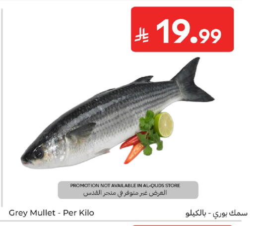 available at كارفور in مملكة العربية السعودية, السعودية, سعودية - بريدة