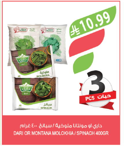 Spinach available at Farm  in KSA, Saudi Arabia, Saudi - Abha