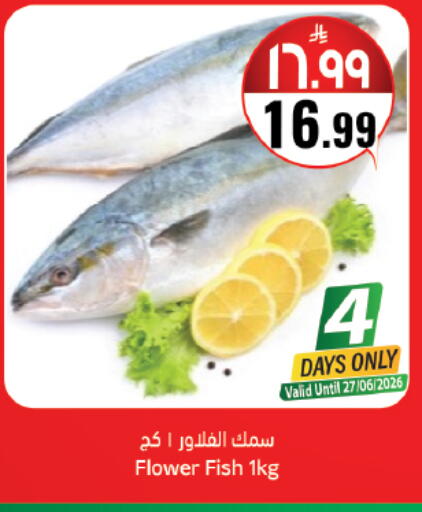 available at ستي فلاور in مملكة العربية السعودية, السعودية, سعودية - حائل‎