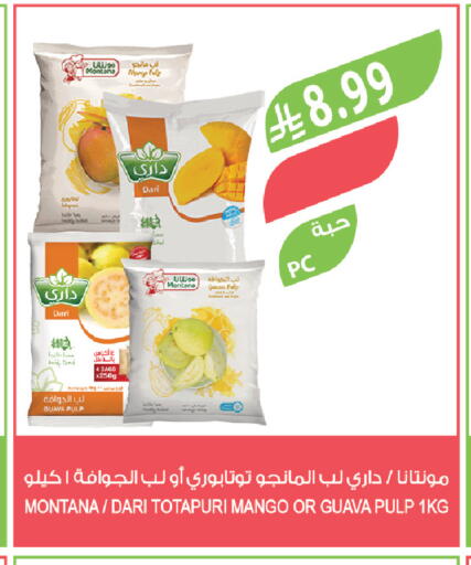 Guava Mango available at Farm  in KSA, Saudi Arabia, Saudi - Abha