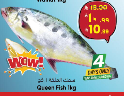 available at ستي فلاور in مملكة العربية السعودية, السعودية, سعودية - حائل‎