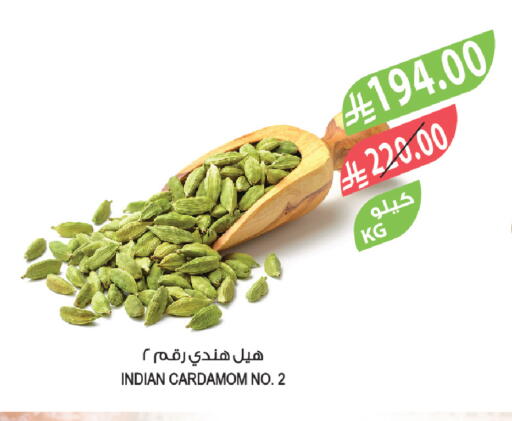 Cardamom available at Farm  in KSA, Saudi Arabia, Saudi - Abha