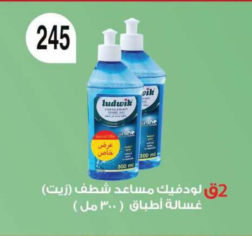 available at فتح الله in Egypt - القاهرة
