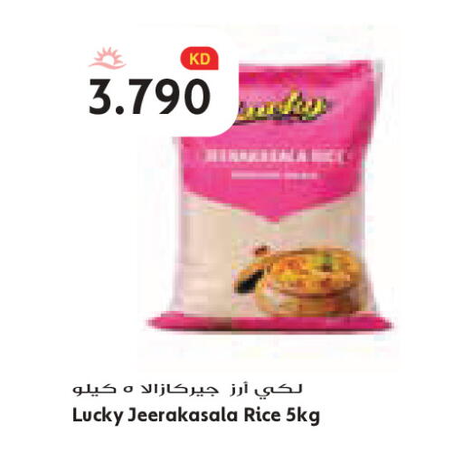 available at Grand Costo in Kuwait - Kuwait City