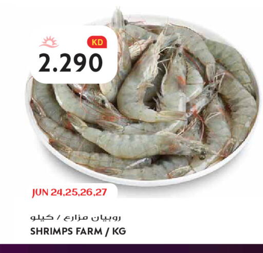 available at Grand Hyper in Kuwait - Kuwait City