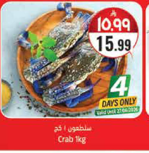 available at ستي فلاور in مملكة العربية السعودية, السعودية, سعودية - سكاكا