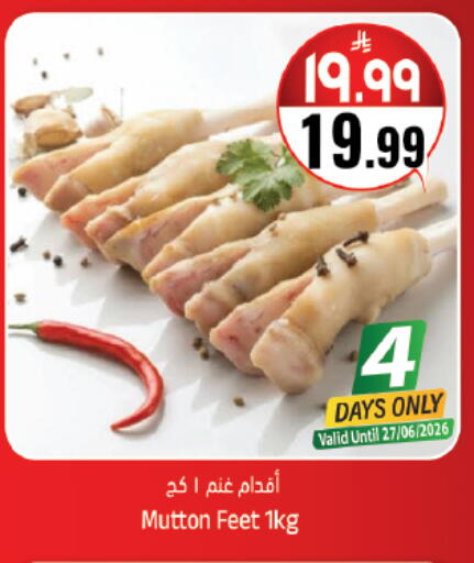 available at ستي فلاور in مملكة العربية السعودية, السعودية, سعودية - حائل‎