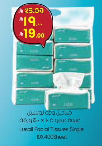 available at City Flower in KSA, Saudi Arabia, Saudi - Sakaka