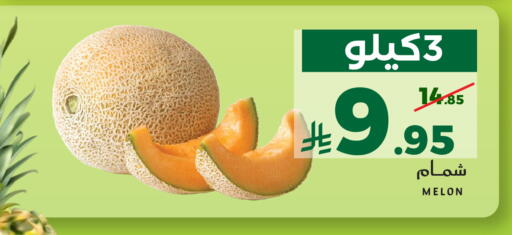 Melon available at ميرا مارت مول in مملكة العربية السعودية, السعودية, سعودية - جدة