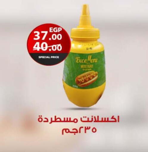 available at فتح الله in Egypt - القاهرة