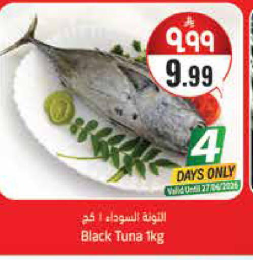 available at ستي فلاور in مملكة العربية السعودية, السعودية, سعودية - سكاكا