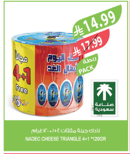 available at المزرعة in مملكة العربية السعودية, السعودية, سعودية - أبها