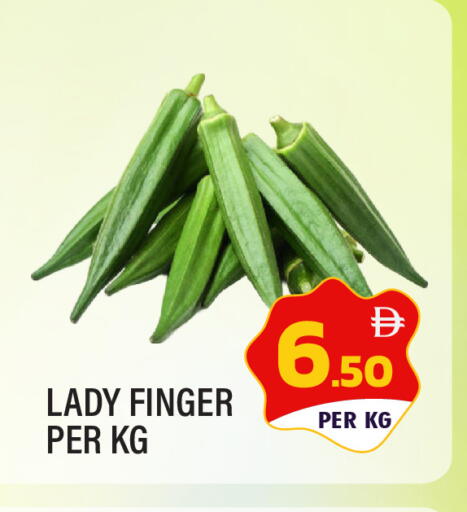 available at دريم لاند in الإمارات العربية المتحدة , الامارات - الشارقة / عجمان