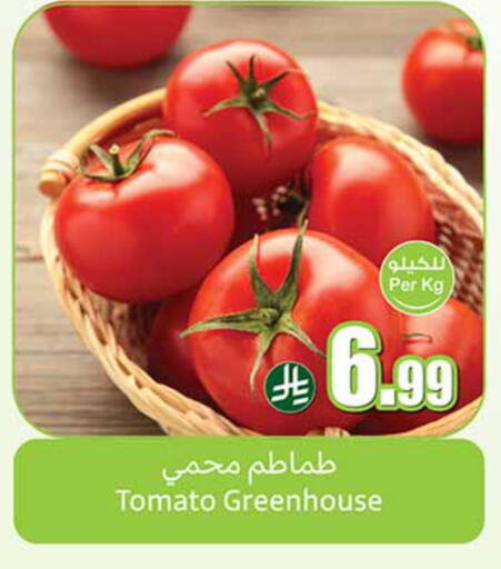 Tomato available at أسواق عبد الله العثيم in مملكة العربية السعودية, السعودية, سعودية - جدة