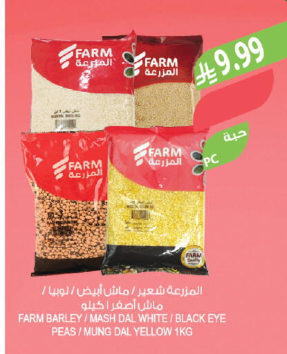 Peas available at Farm  in KSA, Saudi Arabia, Saudi - Jazan