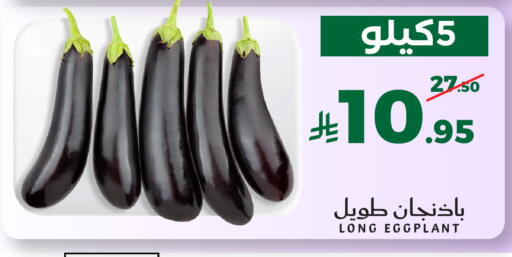 Eggplant available at ميرا مارت مول in مملكة العربية السعودية, السعودية, سعودية - جدة