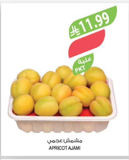 Apricot available at المزرعة in مملكة العربية السعودية, السعودية, سعودية - أبها