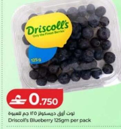 Blueberry BlueBerry available at لولو هايبر ماركت in عُمان - صُحار‎