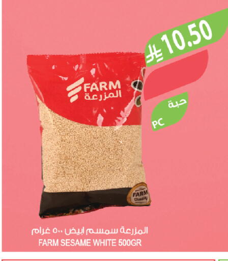 Sesame available at Farm  in KSA, Saudi Arabia, Saudi - Jazan