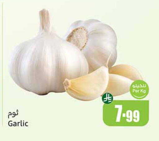 Garlic available at Othaim Markets in KSA, Saudi Arabia, Saudi - Tabuk