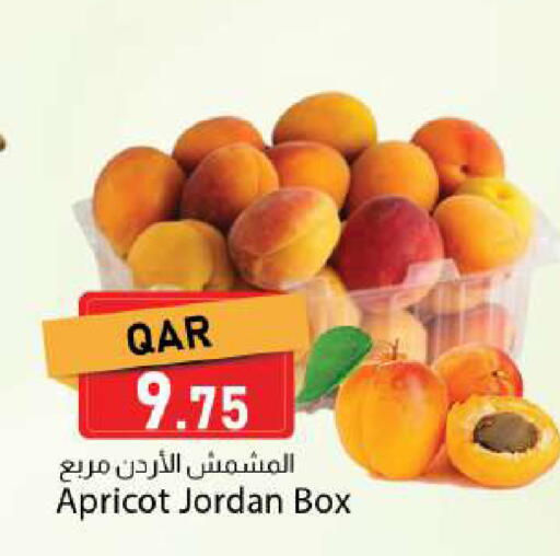 Apricot from Jordan available at Dana Market in Qatar - Al Rayyan