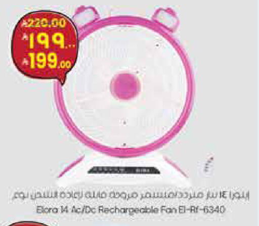 available at ستي فلاور in مملكة العربية السعودية, السعودية, سعودية - سكاكا