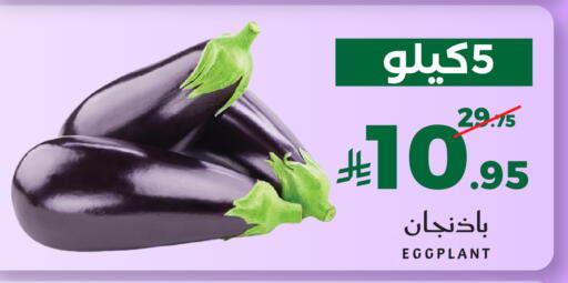 Eggplant available at ميرا مارت مول in مملكة العربية السعودية, السعودية, سعودية - جدة