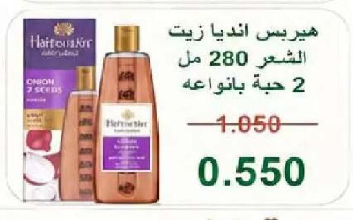 Onion available at  Al Naeem coop in Kuwait - Kuwait City